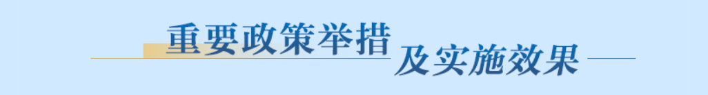 重要政策举措及实施效果