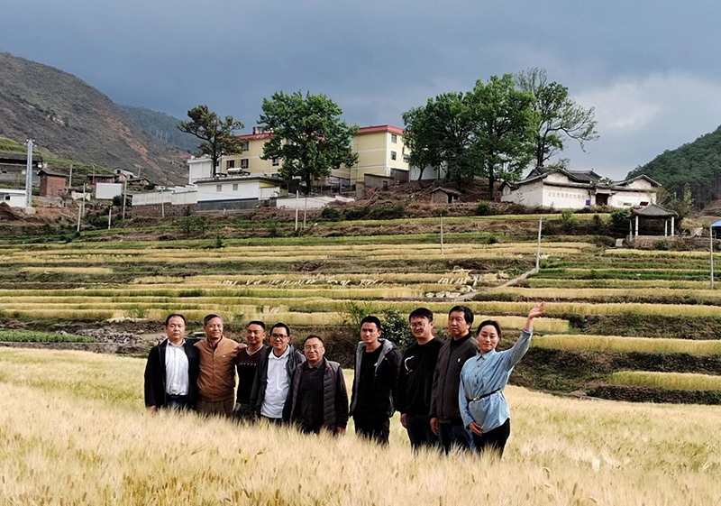 采风活动中 采风活动中